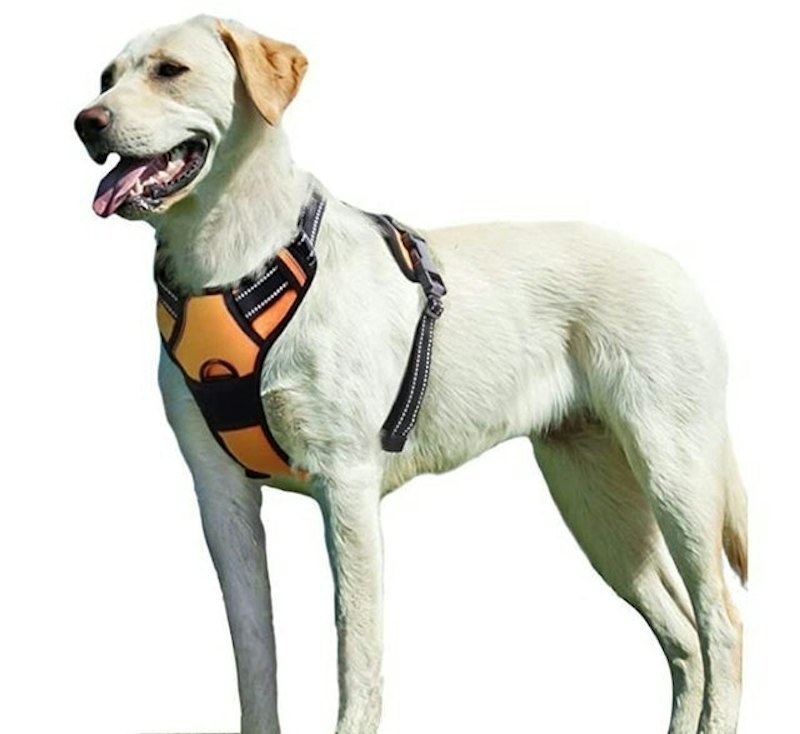 No-Pull Dog Harness 1