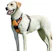 Eagloo No-Pull Dog Harness 1