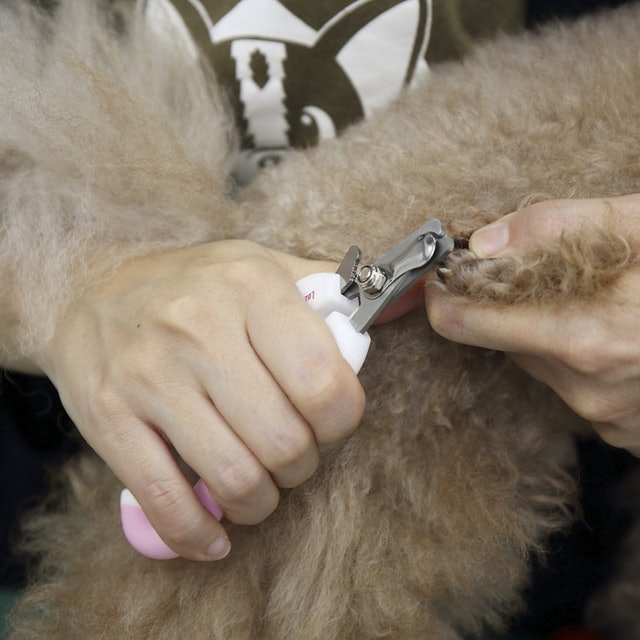 Nail Clipper and File for Pets 7
