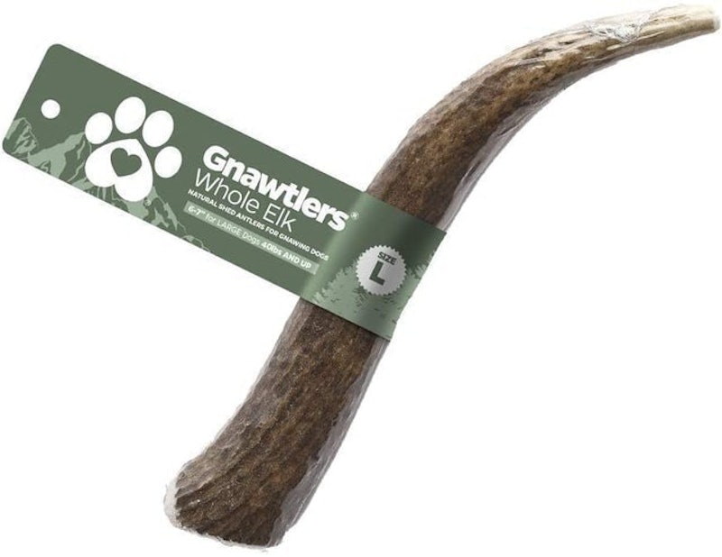Gnawtlers 1