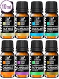 10 Best Essential Oils in 2022 (Handcraft Blends, Maple Holistics, and More) 1