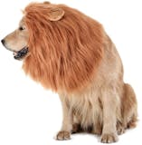 10 Best Dog Halloween Costumes in 2022 (Rubie's, Animal Planet, and More) 1