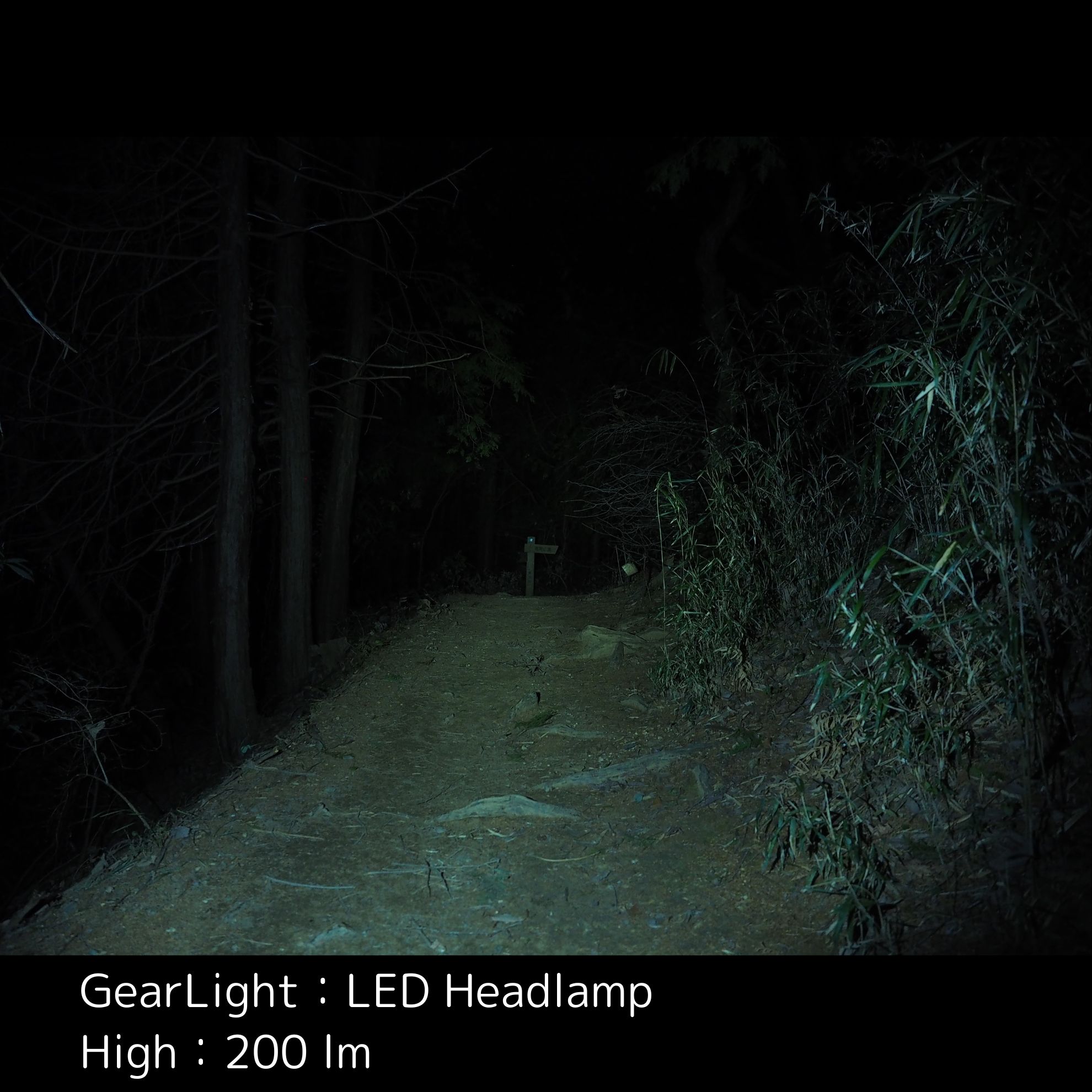 LED Headlamp 14