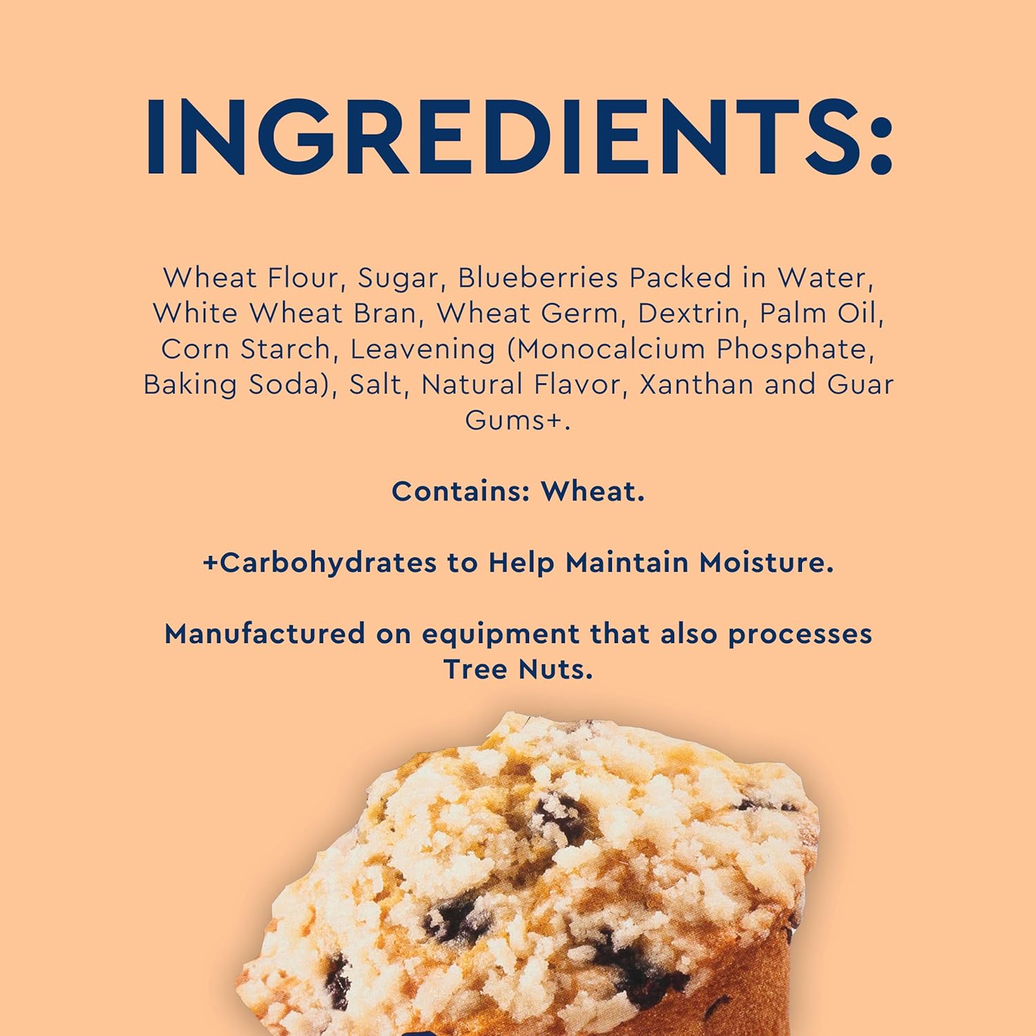 Simple Mornings Blueberry Streusel Muffin Mix 3