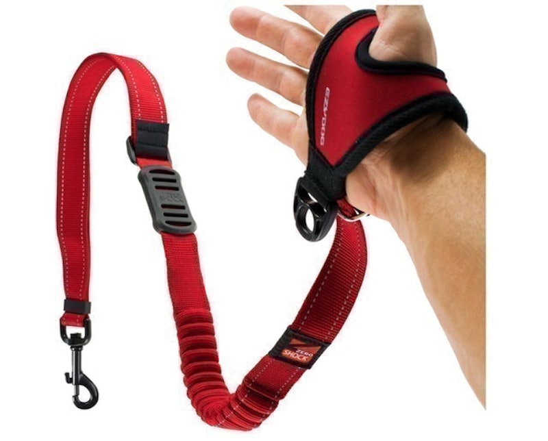 Handy Bungee Dog Leash 1