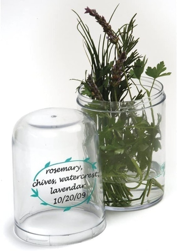 Freshworks Produce Saver 2