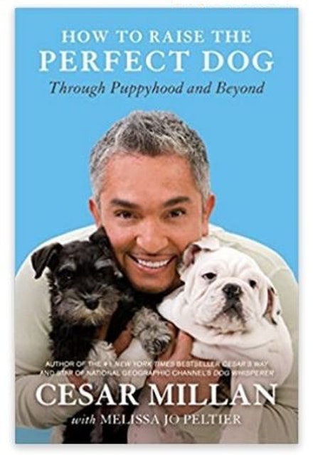10 Best Dog Training Books in 2022 (Zak George, Cesar Millan, and More) 2