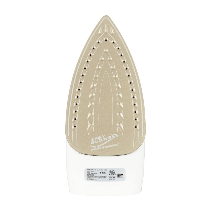 Ecomaster Ceramic Soleplate Steam Iron 2