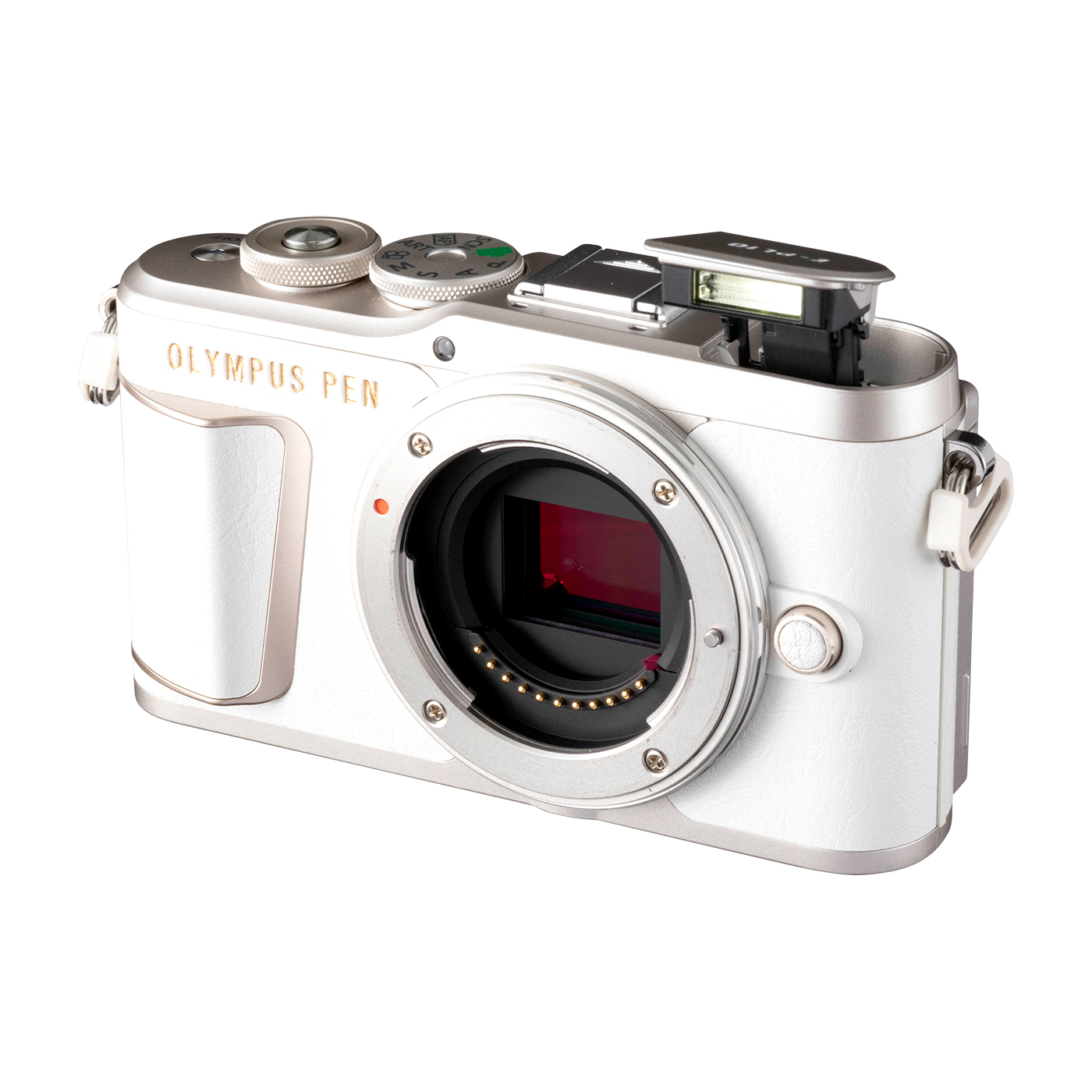 PEN E-PL10 2