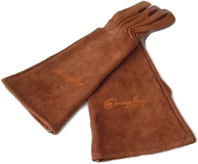 Rose Pruning Gloves 1
