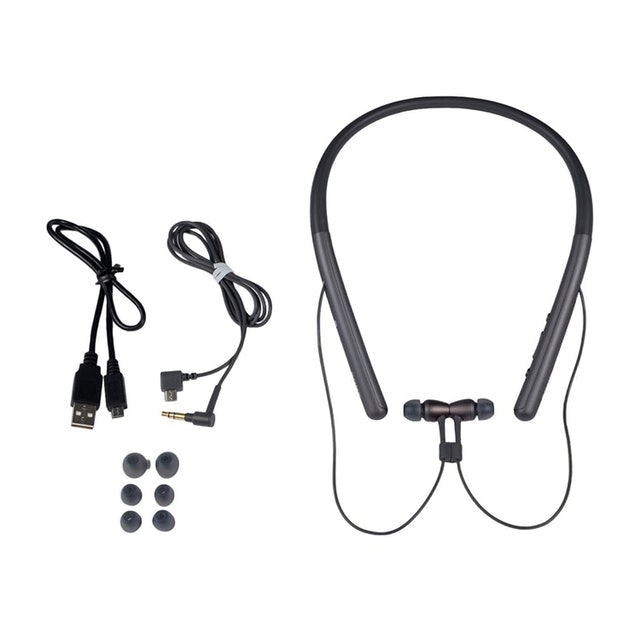 h.ear in 2 Wireless 4
