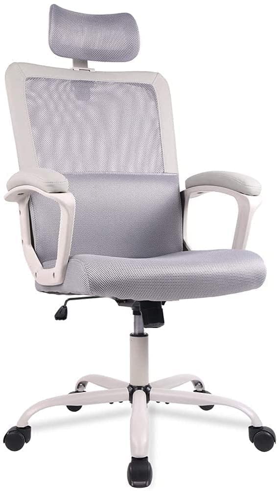 10 Best Products for Working From Home of 2026 (Netgear, TaoTronics, and More) 2