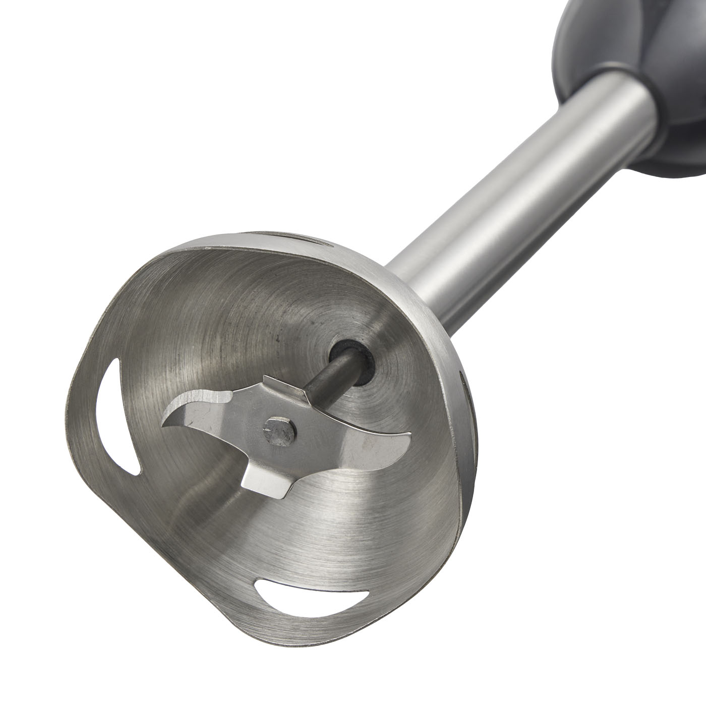 Powerful Immersion Blender 2