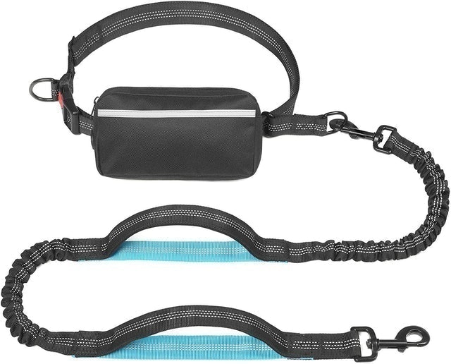 10 Best Dog Leashes for Running in 2022 (TaoTronics, oneisall, and More) 3