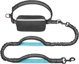 10 Best Dog Leashes for Running in 2022 (TaoTronics, oneisall, and More) 3