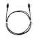 Belkin BOOST UP CHARGE USB-C to USB-C Cable 1