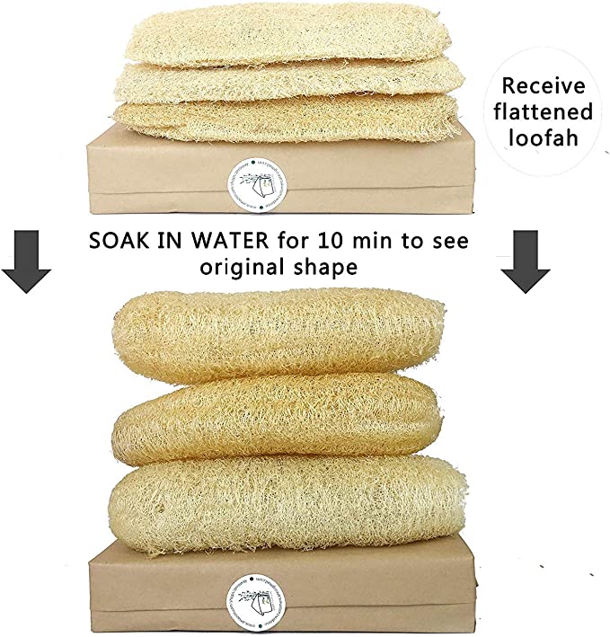 Whole Natural Loofah, 3 pack 2