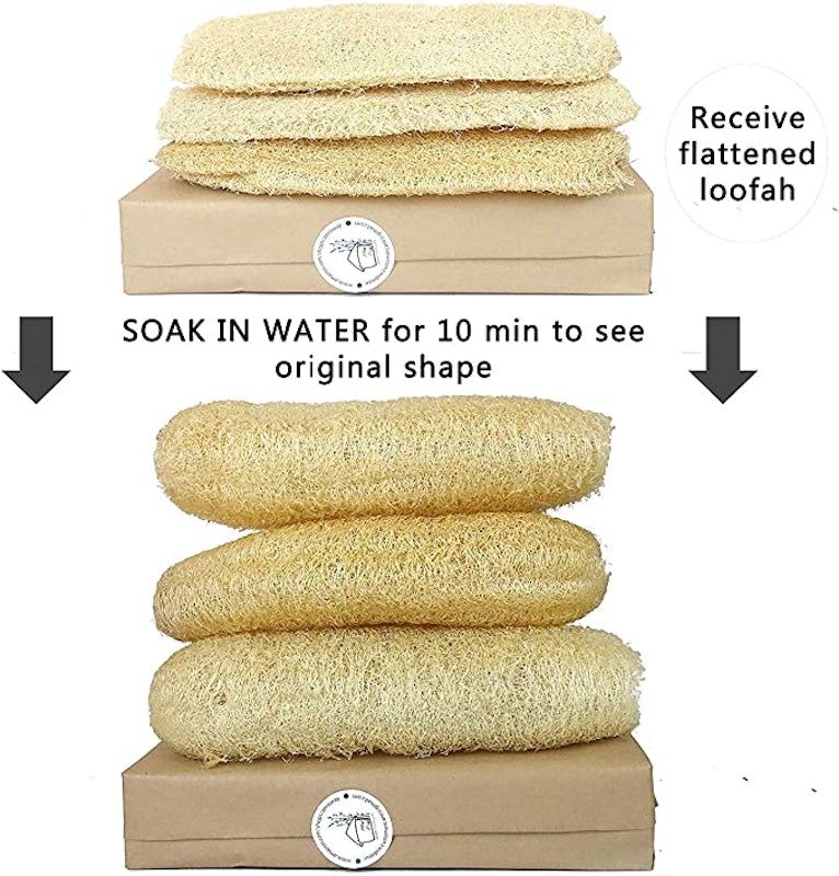 Whole Natural Loofah, 3 pack 2