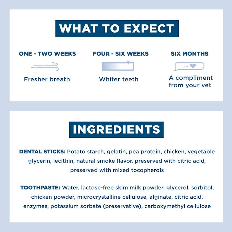 Bright Brushless Dental Chews and Enzymatic Toothpaste Kit 2