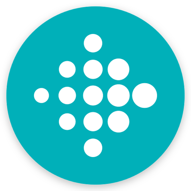 Fitbit 1