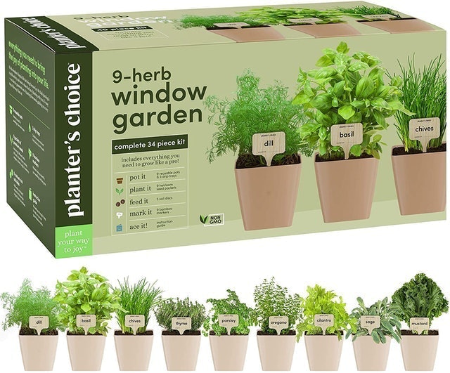 9-Herb Window Garden 1