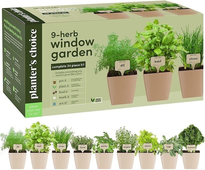 9-Herb Window Garden 1