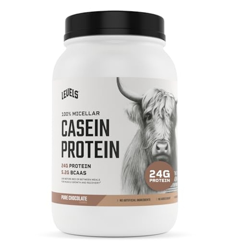 Casein 1