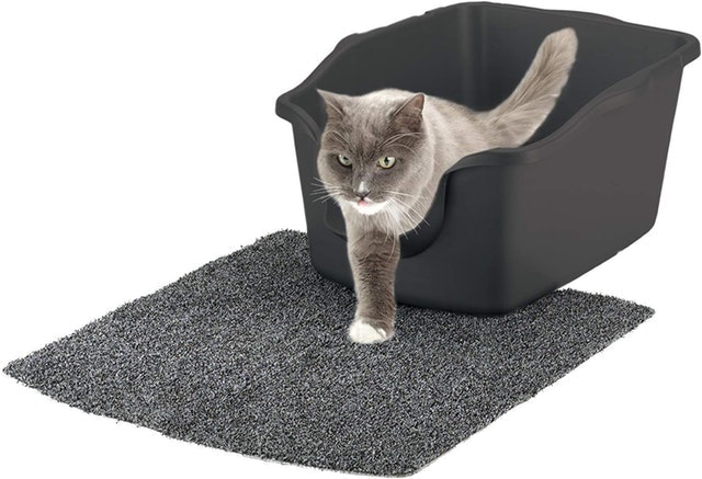 High-Sided Litter Box 3