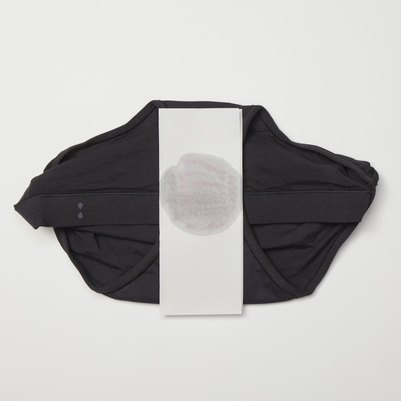 Thinx for All Cotton Brief Moderate 6