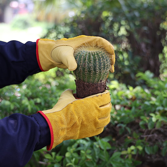 Long Leather Gardening Gloves 2