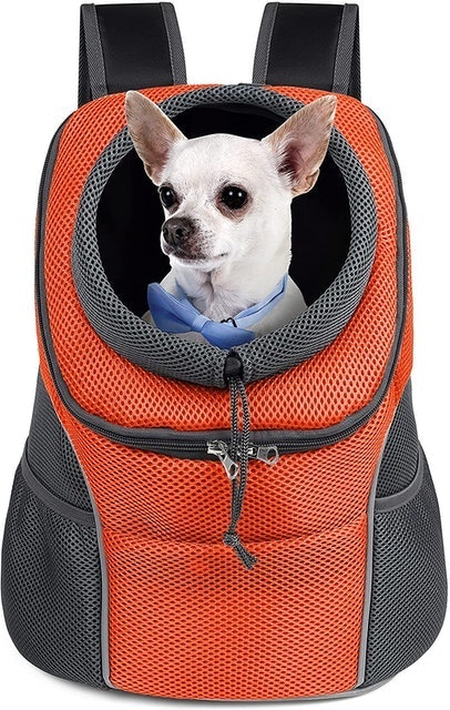 5-in-1 Pet Carrier with Backpack 1