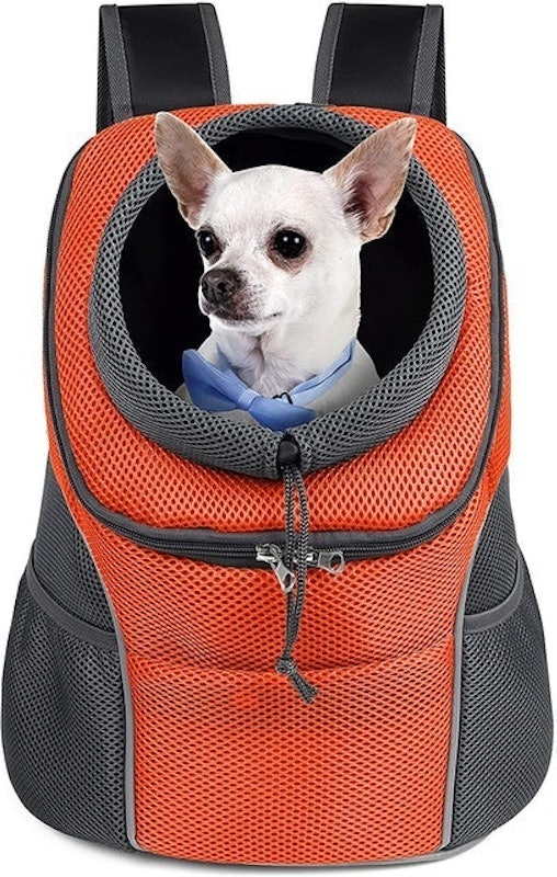 5-in-1 Pet Carrier with Backpack 1