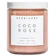 Herbivore Botanicals Coco Rose Exfoliating Body Scrub 1
