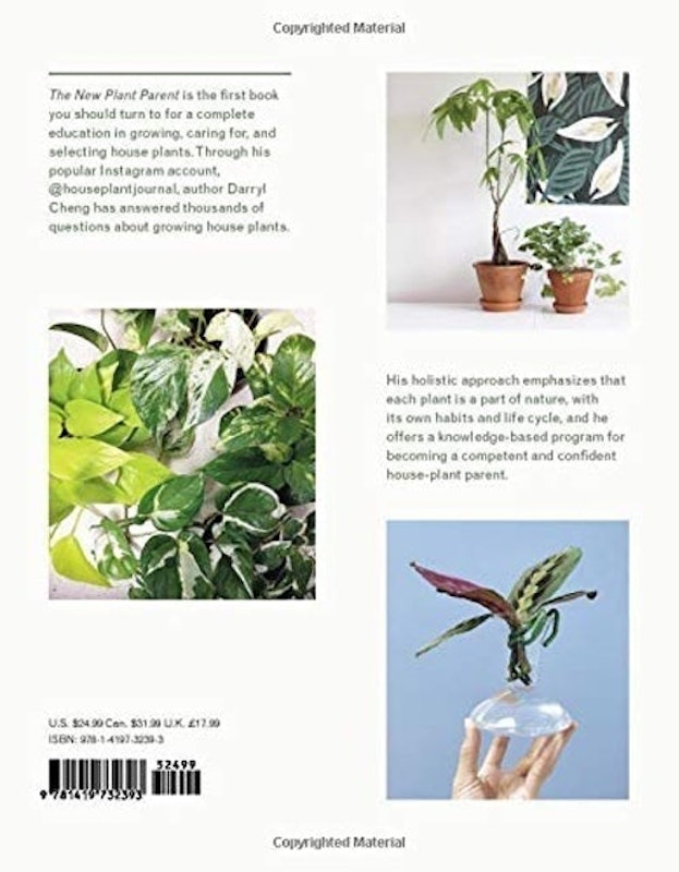 Gardening Under Lights 2
