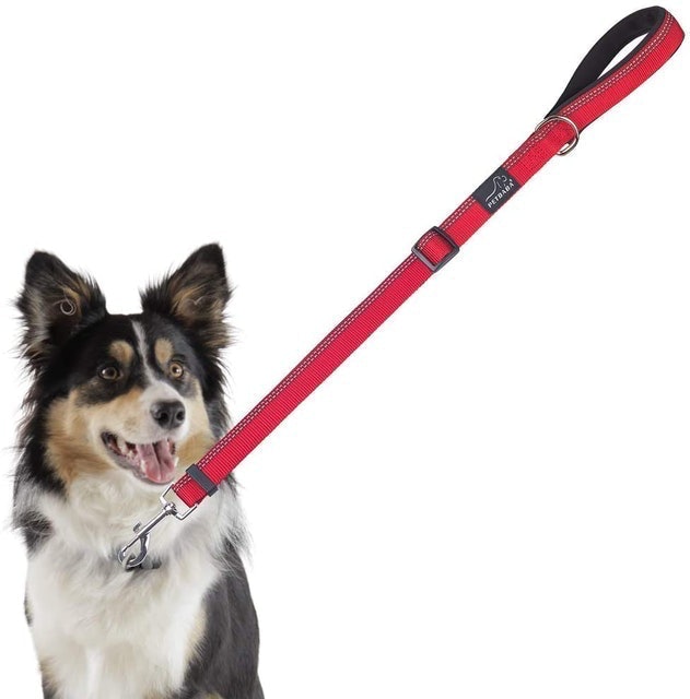 Short Dog Leash 2