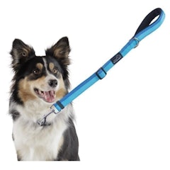 Short Dog Leash