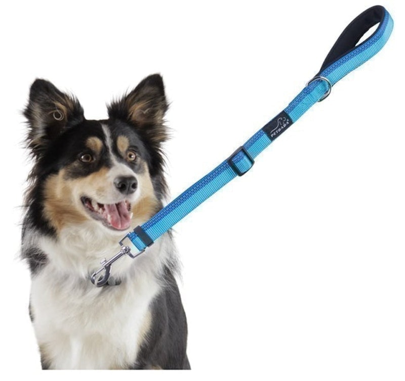 Short Dog Leash 1