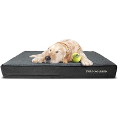 Orthopedic Dog Bed Premium Memory Foam