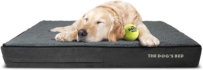 Orthopedic Dog Bed Premium Memory Foam 1