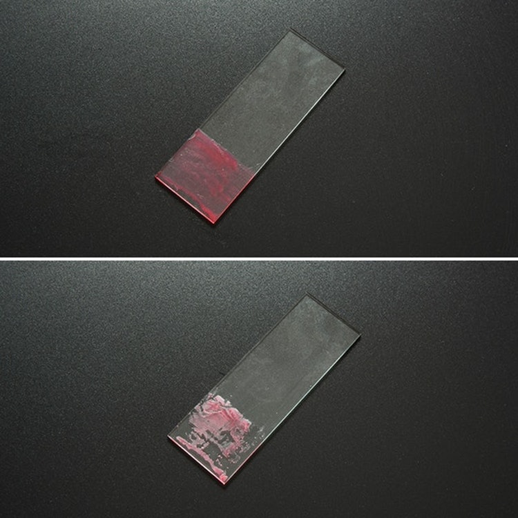 Dr. Linn Sakurai Treatment Foam 3