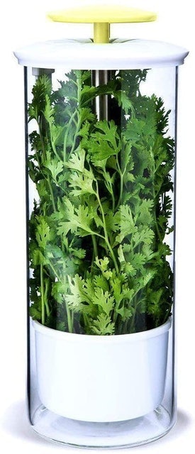 10 Best Herb Keepers in 2022 (Chef-Reviewed) 4