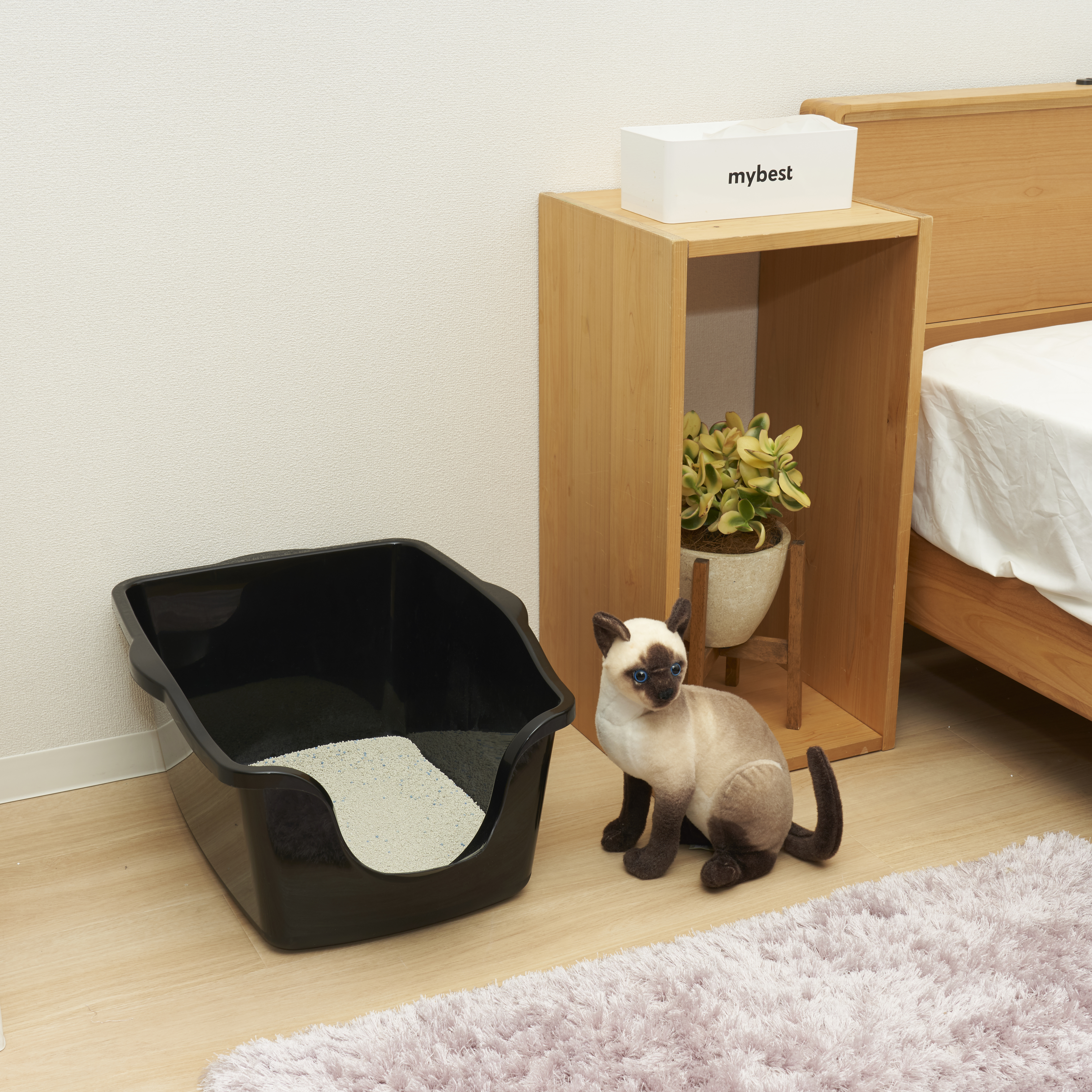 High Sided Litter Box 2