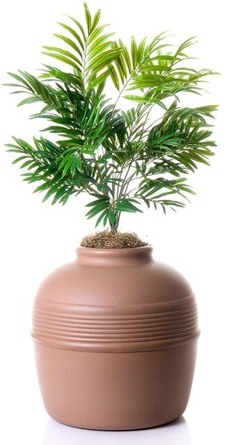 Plant Hidden Litter Box 2