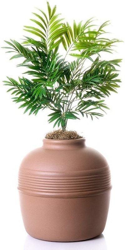 Plant Hidden Litter Box 2