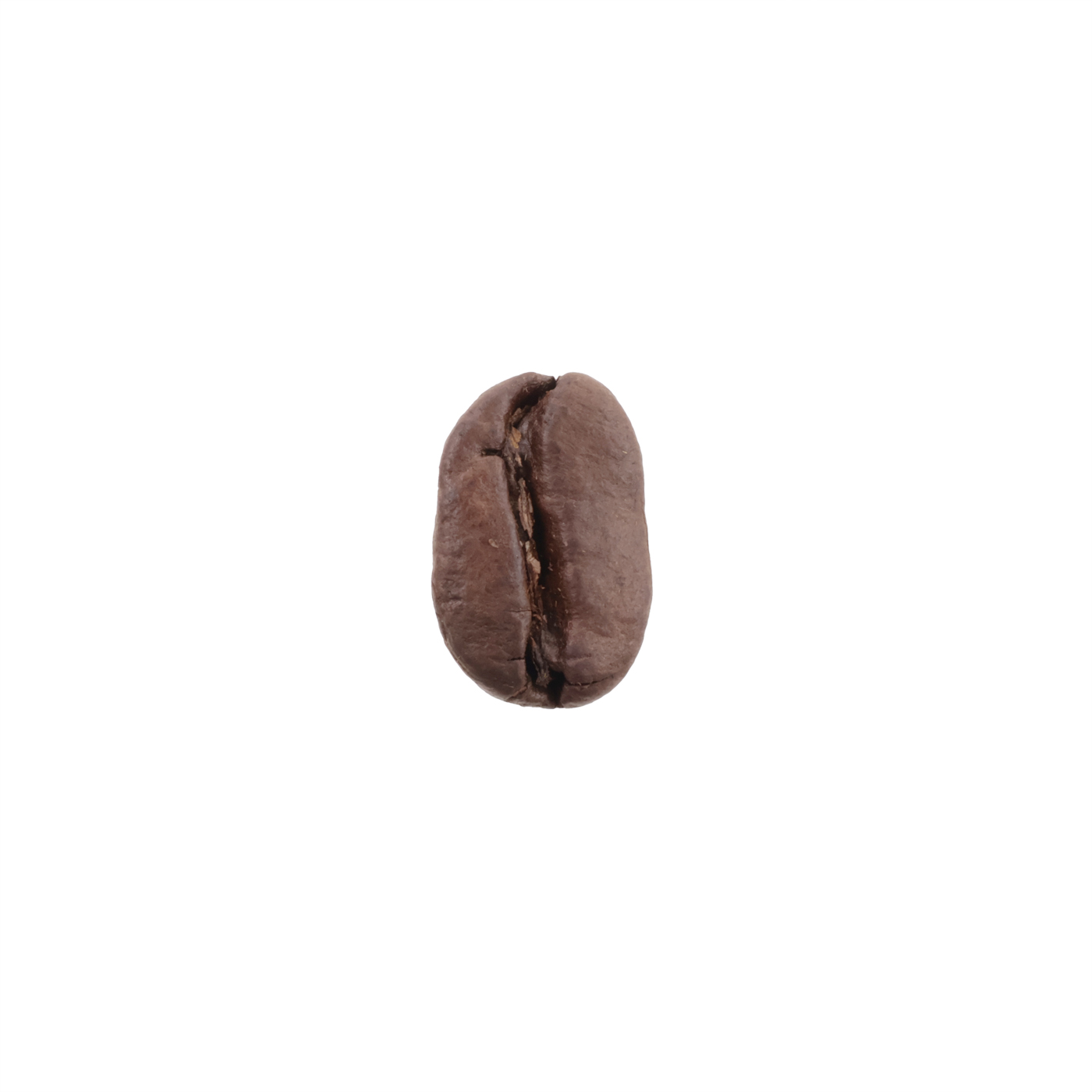 Dark Roast 6
