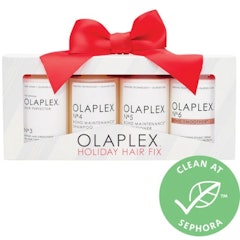 Holiday Hair Fix Kit