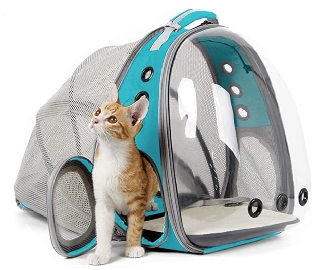 10 Best Cat Backpack Carriers in 2022 (PetAmi, Lollimeow, and More) 5
