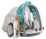 10 Best Cat Backpack Carriers in 2022 (PetAmi, Lollimeow, and More) 5