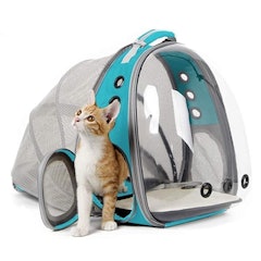 Expandable Backpack