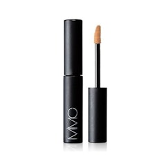 Mineral Concealer